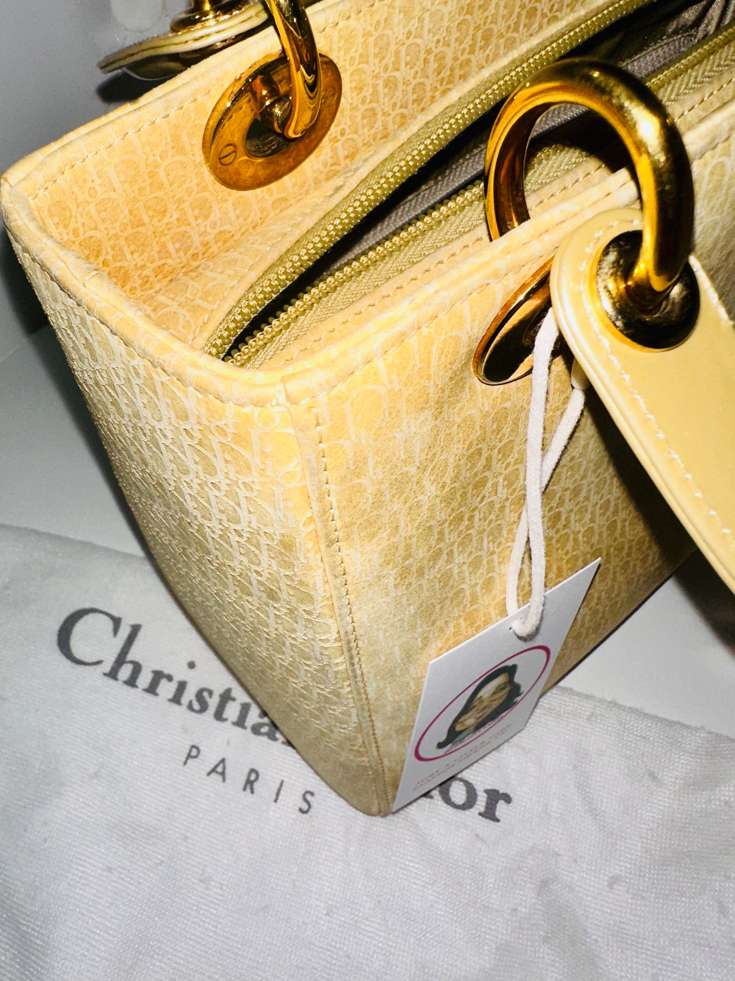 Christian Dior | Medium Suede Diorissimo Lady Dior Bag