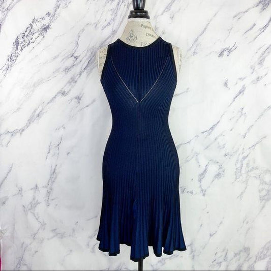 Carmen Marc Valvo | Rosemary Dress | Navy & Black | Size XS