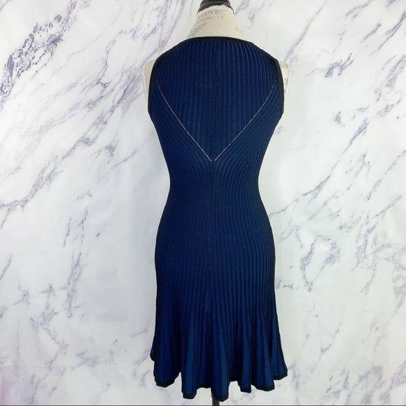 Carmen Marc Valvo | Rosemary Dress | Navy & Black | Size XS